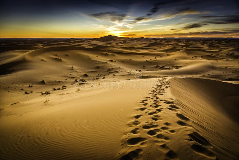 Hermoso sobre el de duna sobre el Marruecos desierto.