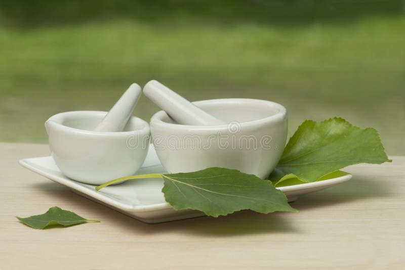 Mortai e pestelli fotografia stock