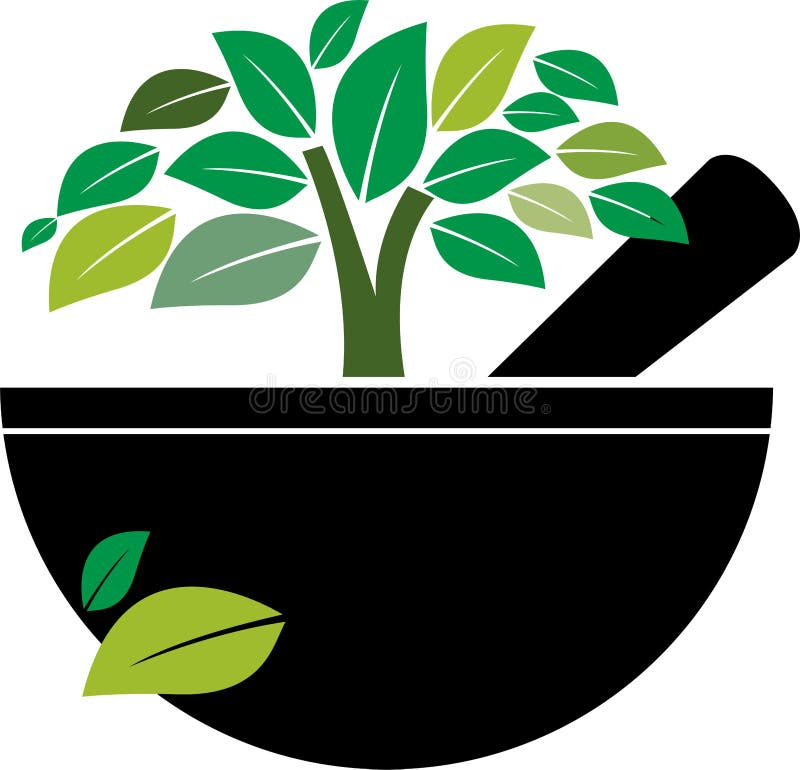 Mortaio e pestello con l'albero di erbe illustrazione di stock Mortaio e pestello con l'albero di erbe illustrazione di stock