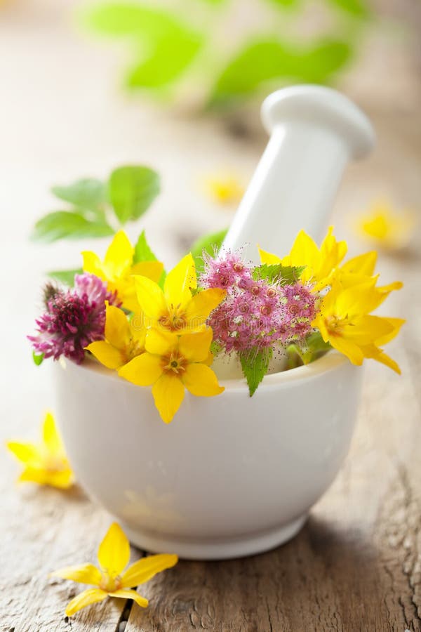 Calendula Flowers, Mortar and Pestle Stock Photo Image of mortar