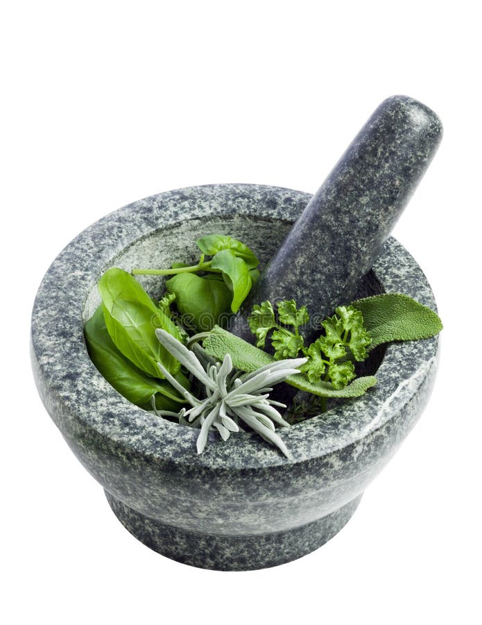 Mortar and Pestle with Fresh Herbs Stock Image Image of preparing