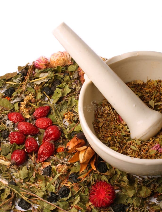 Mortar and Pestle with Herbs Stock Image Image of health, life 4789435