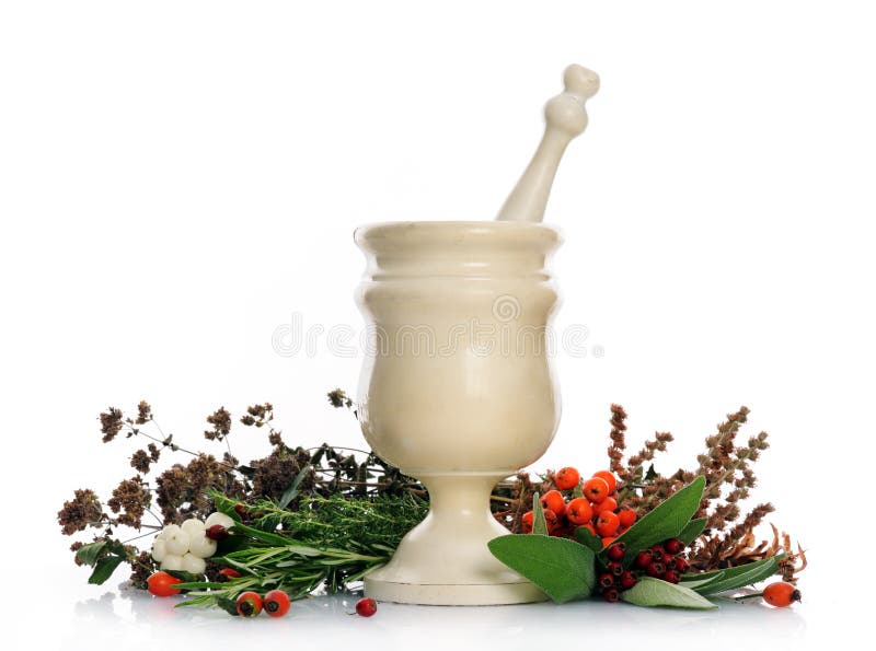 Mortar and Pestle with Herbs Stock Photo Image of rosemary, herbs