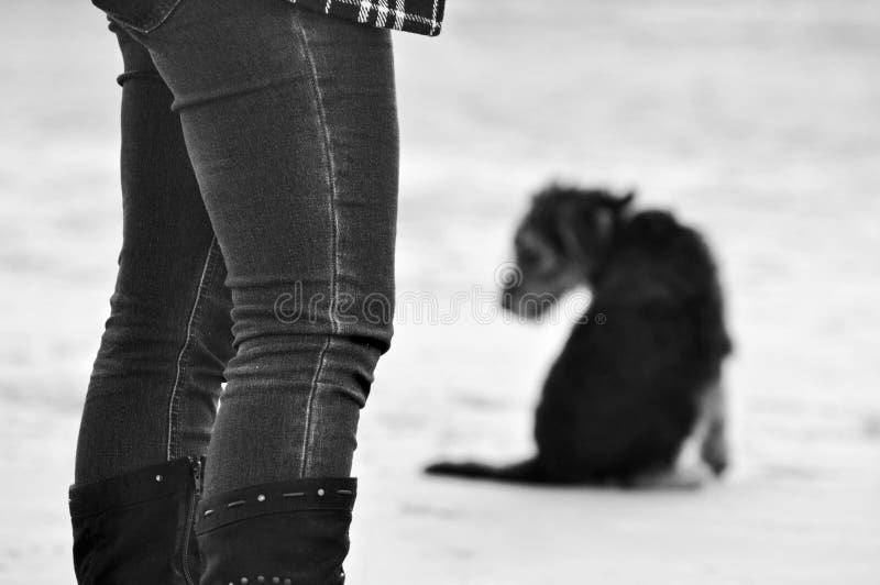 A unique conceptual black and white image suitable for a background, addressing the concept that is rarely addressed. Which is the grief and sense of loss that a person experiences at the death of their beloved pet dog. The shot has been taken in black and white with no identity of the person known and the woman is standing on a white sandy beach. In the backdrop of the photo is a pet dog looking in her direction, but I purposely blurred the dog , to capture the concept of loss and death of a very loved and valued friend and family member. A unique conceptual black and white image suitable for a background, addressing the concept that is rarely addressed. Which is the grief and sense of loss that a person experiences at the death of their beloved pet dog. The shot has been taken in black and white with no identity of the person known and the woman is standing on a white sandy beach. In the backdrop of the photo is a pet dog looking in her direction, but I purposely blurred the dog , to capture the concept of loss and death of a very loved and valued friend and family member.