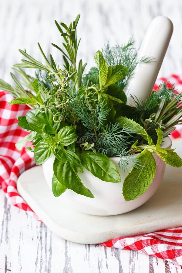 Mortier et herbes. photographie stock Mortier et herbes. photographie stock