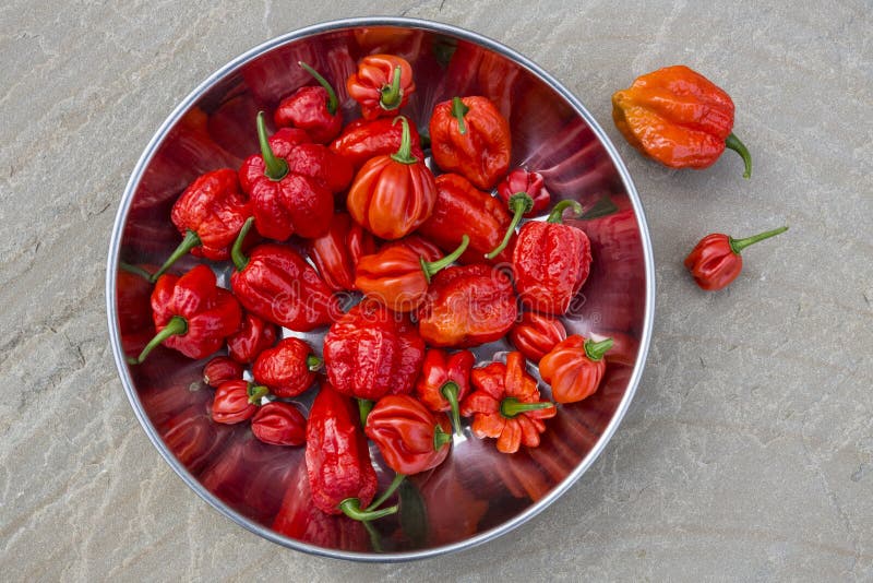 Moruga Scorpion - Chili Peppers