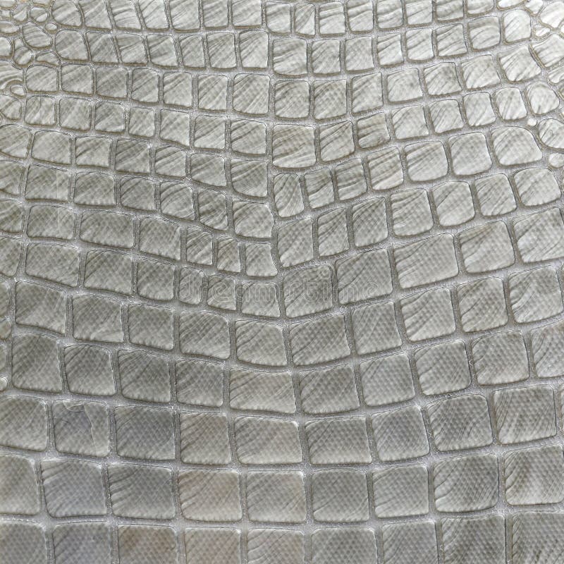 Mosaic Mimic the Look of a Crocodile Pattern Stock Photo - Image of