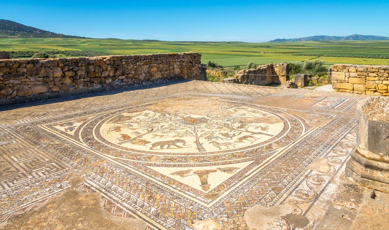 Mosaico en la casa de Orfeo en la ciudad antigua Volubilis, Marruecos de las ruinas