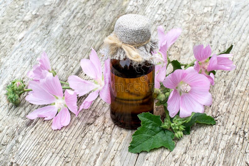 Moschata del Malva de la planta medicinal y botella farmacéutica imagenes de archivo Moschata del Malva de la planta medicinal y botella farmacéutica imagenes de archivo