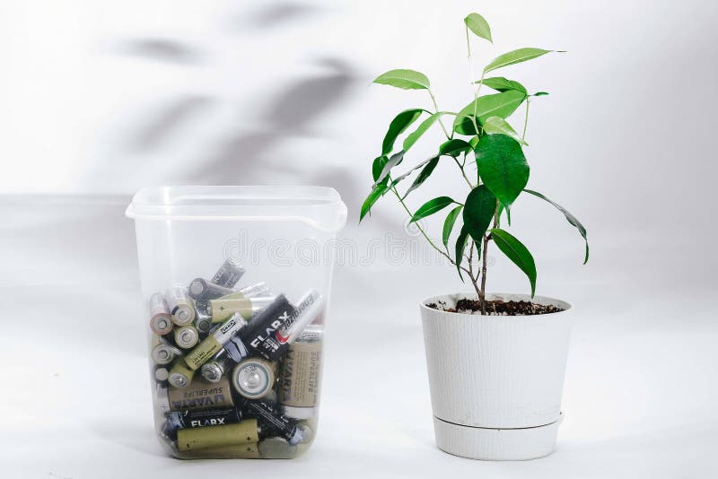 Moscou, Russie - 20 avril 2019 : Un conteneur transparent avec des batteries et une fleur vivante dans un pot sont l'un à côté de images libres de droits Moscou, Russie - 20 avril 2019 : Un conteneur transparent avec des batteries et une fleur vivante dans un pot sont l'un à côté de images libres de droits