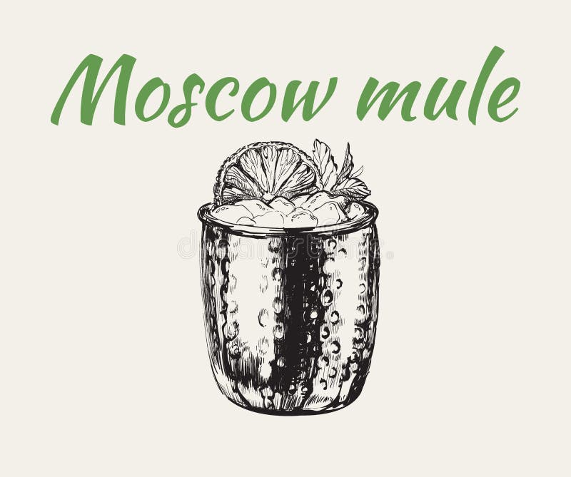 Moscow Mule Cocktail Hand Drawn Drink Vector Illustration Stock Vector