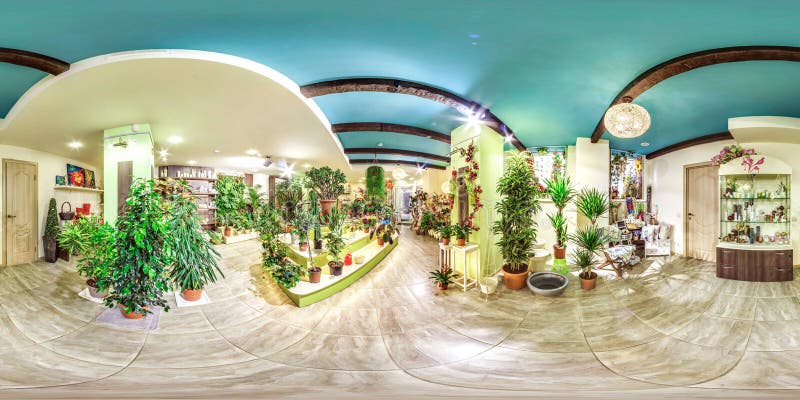 Moscow-2018: panorama esférico 3D con el ángulo de visión de 360 grados del interior de la floristería con las plantas verdes Ali fotos de archivo Moscow-2018: panorama esférico 3D con el ángulo de visión de 360 grados del interior de la floristería con las plantas verdes Ali fotos de archivo
