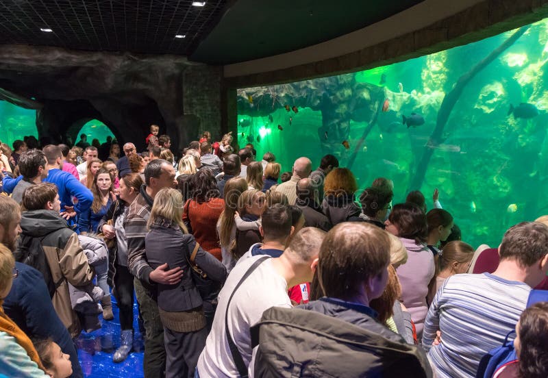 moscow oceanarium moscow oceanarium
