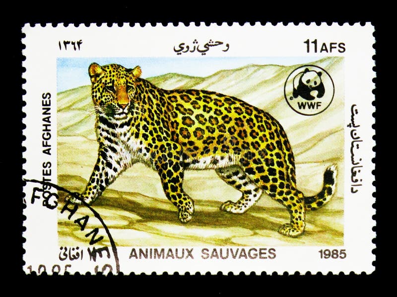 Leopard (Panthera Pardus), World Wildlife Fund - the Leopard Ser Editorial Image - Image of fund, national: 113963880 Leopard (Panthera Pardus), World Wildlife Fund - the Leopard Ser Editorial Image - Image of fund, national: 113963880