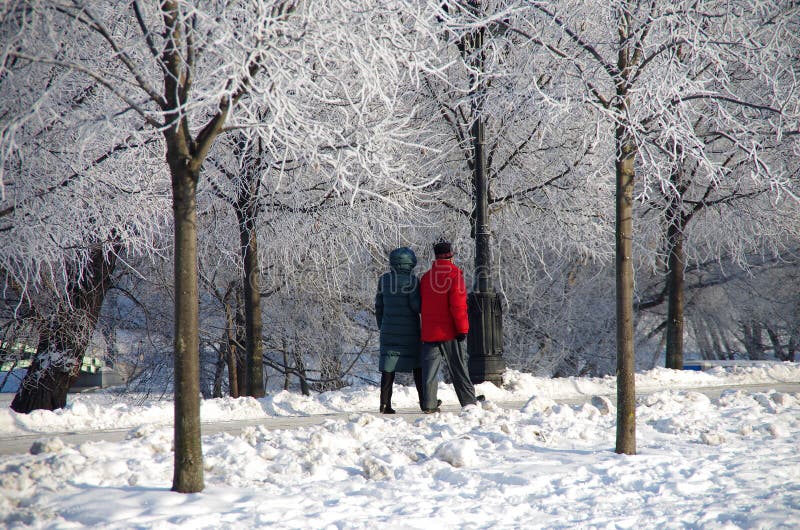 MOSCOW, RUSSIA - December, 2018: Winter day in the park of the Tsaritsyno estate in Moscow, Russia