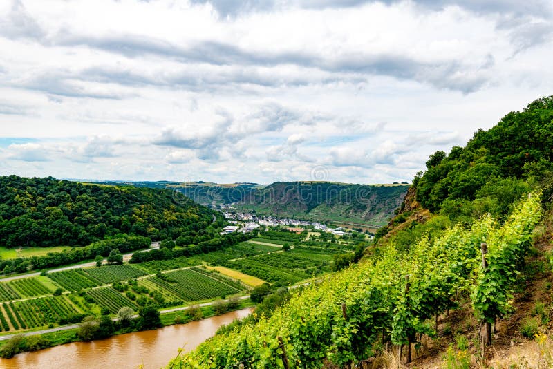 The Mosel Valley from Top of the Mosel Valley Bridge at Winningen in ...