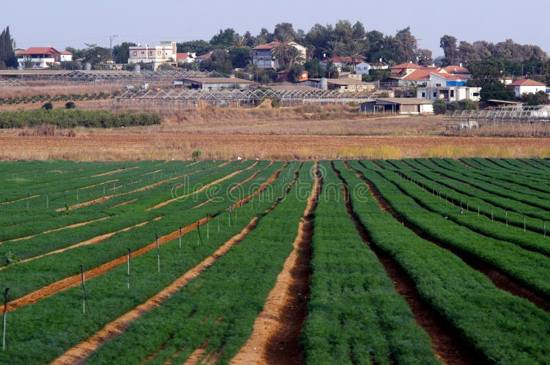 Moshav en Israël photo libre de droits Moshav en Israël photo libre de droits