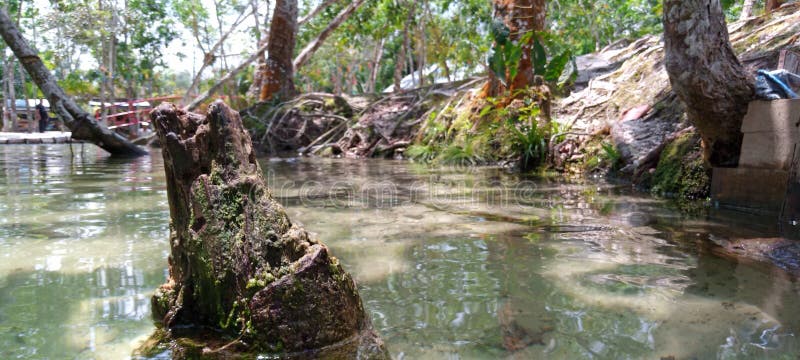 Mosiądz w spokojnej rzece obrazy royalty free