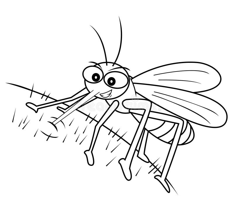 Mosquito stock illustration
