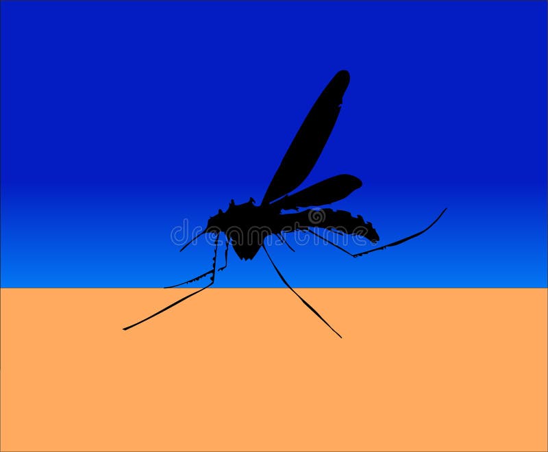 Mosquito