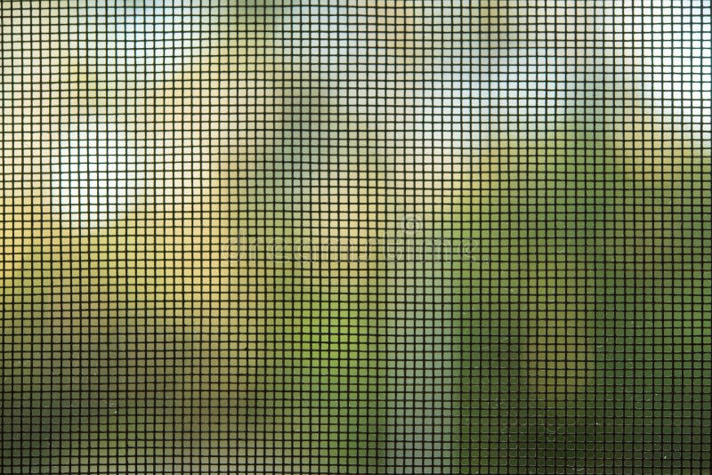 Mosquito Net On The Windows Doors Stock Image Image Of