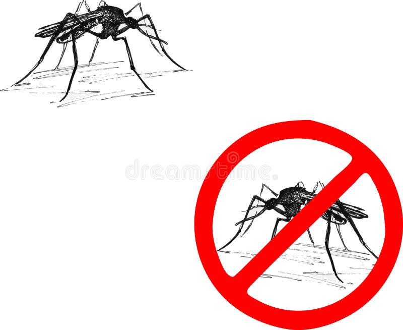 Free Vector Insect - Clip Art Of Mosquito - Free Transparent PNG Clipart  Images Download