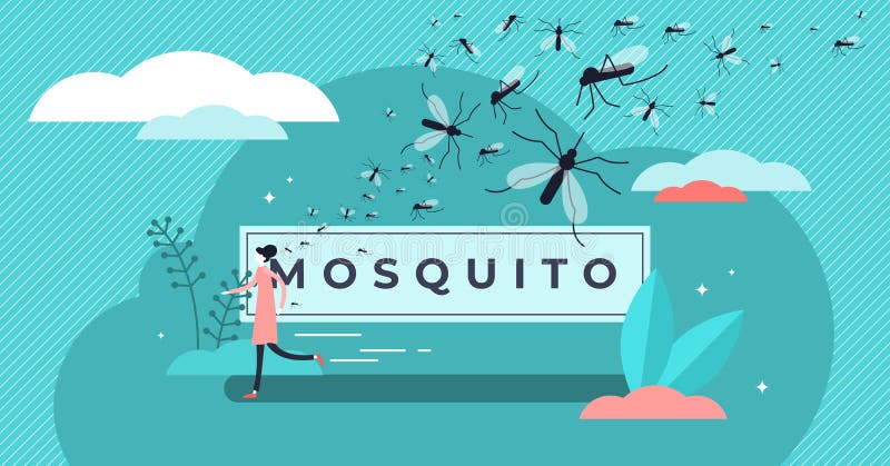 Mosquito vector illustration. Tiny insects bite prevention persons concept.