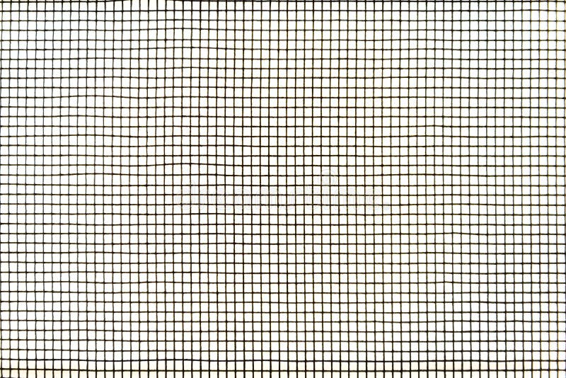 Mosquito wire screen texture on the window