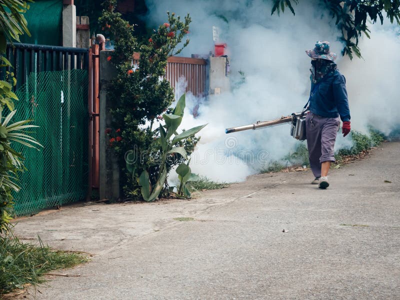 Mosquitos Fumigadores De La Prevención Del Brote De Fiebre Del Dengue En Casa Matando Mosquito Imagen de archivo - Imagen ropa, persona: 250731651