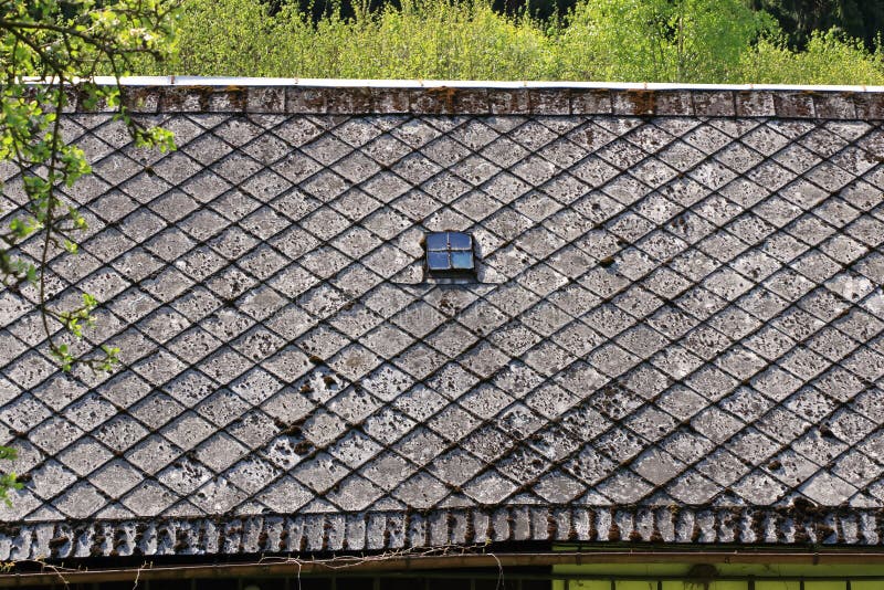 Moss and Algae on Slate Roof Tiles Stock Photo Image of mold