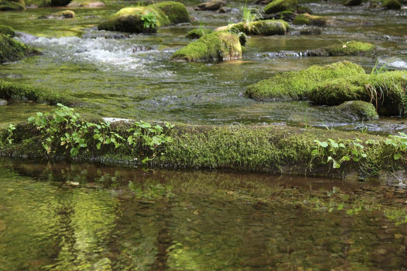 Dappled sunlight on river and river rocks Australian bush Stock