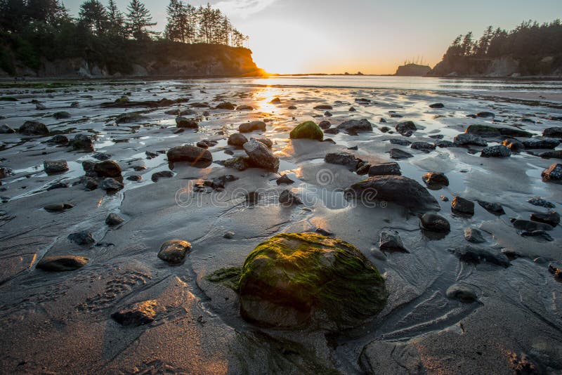Moss Covered Rock on Beach at Low Tide Stock Photo Image of star, twilight 100477152
