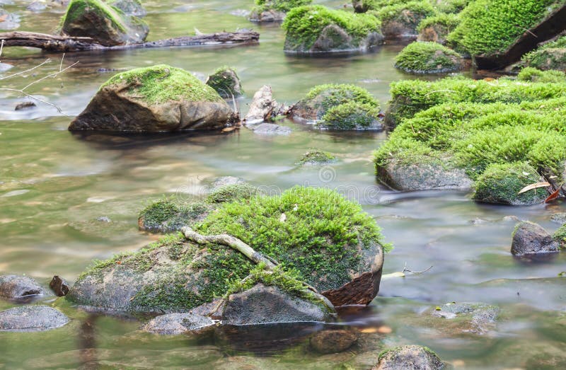 Moss Covered Rocks In River Stock Image Image Of Leaf Nature 34928505