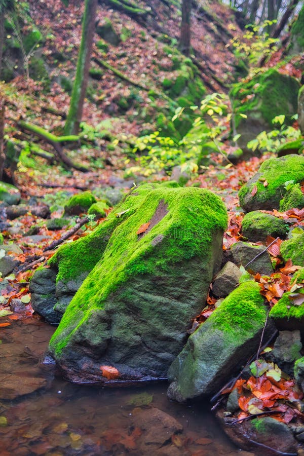 Moss covered rocks in Turovska roklina gorge during autumn in Kremnicke vrchy mountains