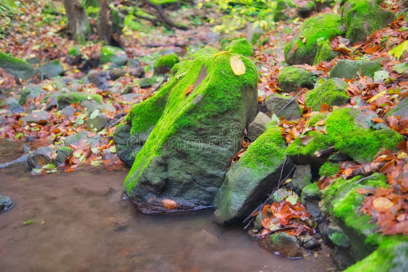 Moss covered rocks in Turovska roklina gorge during autumn in Kremnicke vrchy mountains