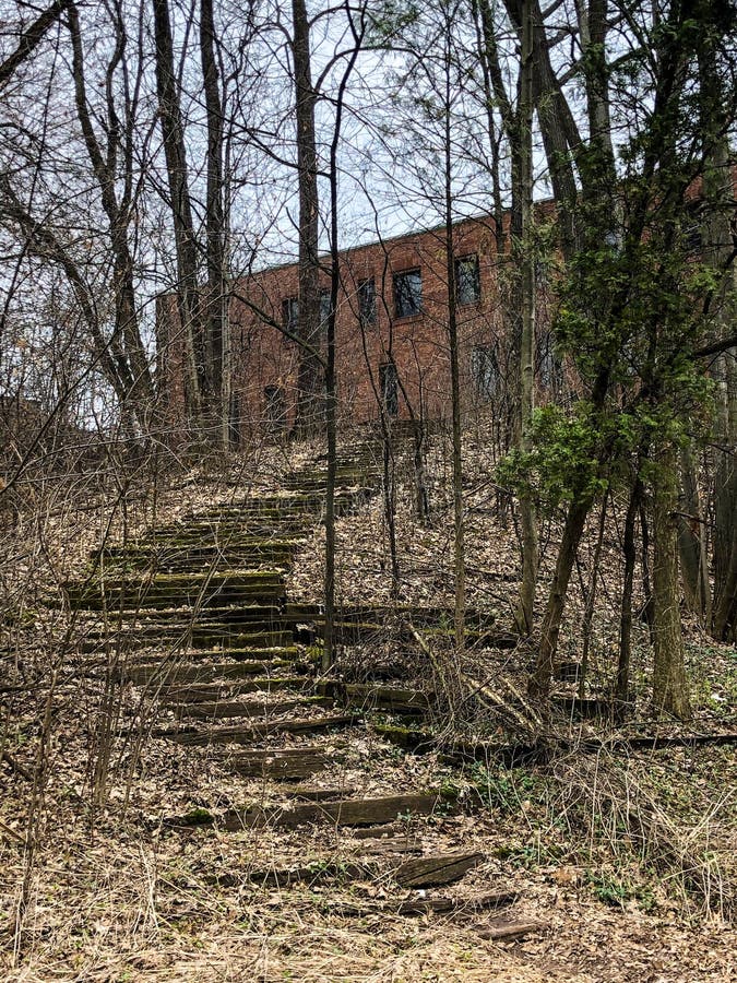 Wooden Steps On A Steep Hillside In The Forest Stock Photo, Picture and  Royalty Free Image. Image 36876055.