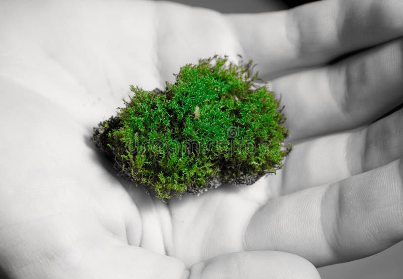 Moss in hand