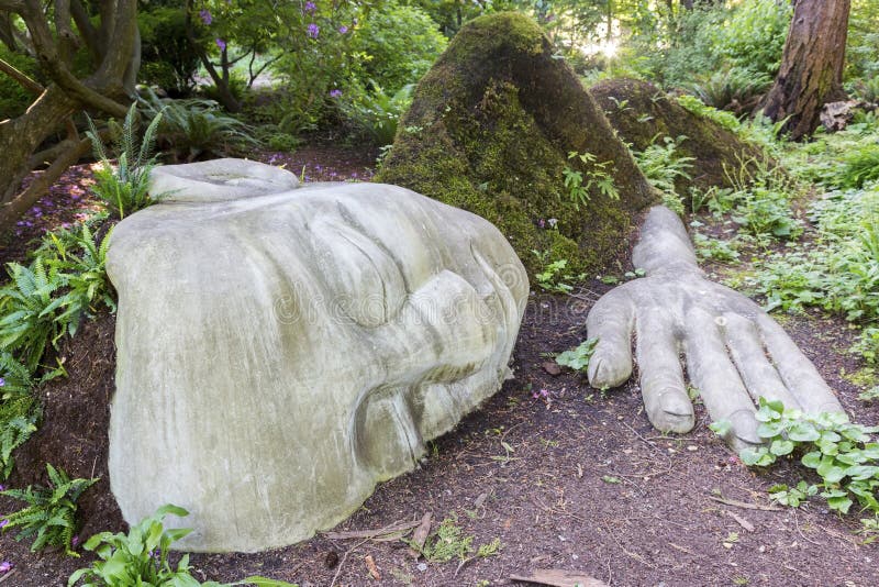 Moss Lady Beacon Hill Park Victoria Vancouver Island A.C. imagenes de archivo Moss Lady Beacon Hill Park Victoria Vancouver Island A.C. imagenes de archivo