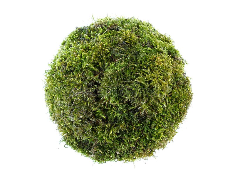 Moss sphere