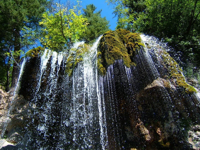 Moss Waterfall