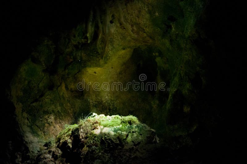 Mossa vaggar på i grotta royaltyfri bild