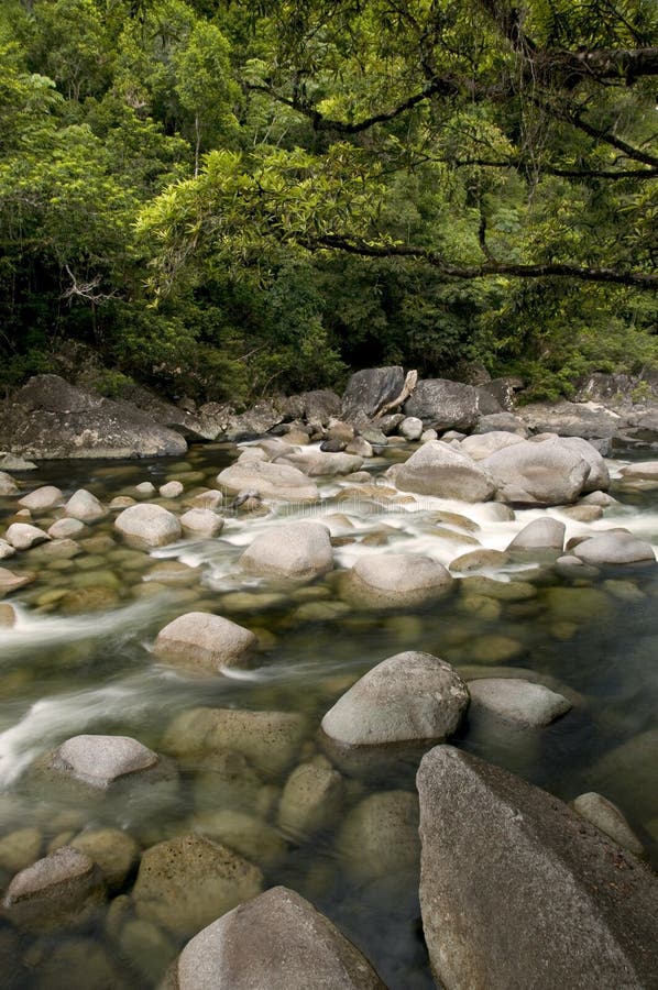 Mossman Gorge stock photos