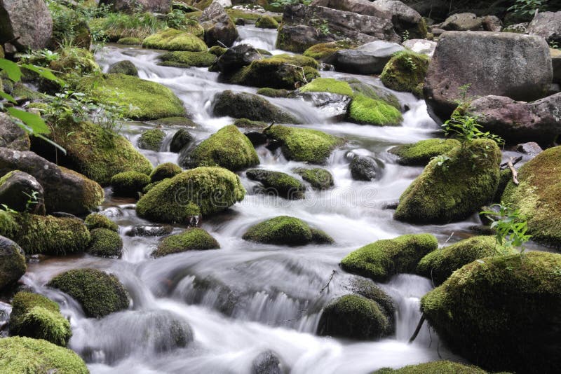 Mossy Creek stock image. Image of stream, running, creek 62777467