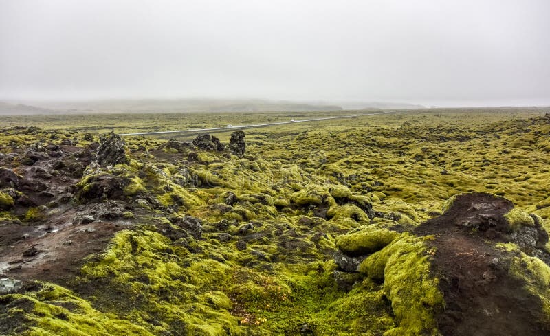 Mossy Lava Rocks Iceland Picture Image Mossy Lava Rocks Iceland Picture Image