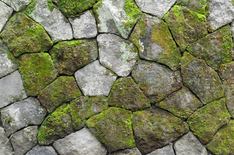 Mossy rustic stone wall stock photo. Image of mossy, growth 71811490