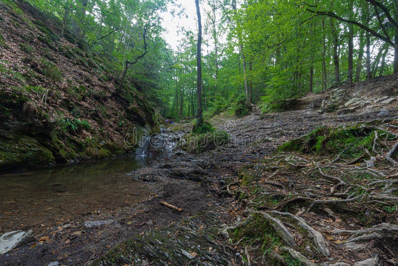 The most beautiful hike in the Belgian Ardennes alongside the Ninlingspo mountain river. Located near Remouchamps in the Liege province.  The valley of Ninglinspo is classed as an outstanding heritage