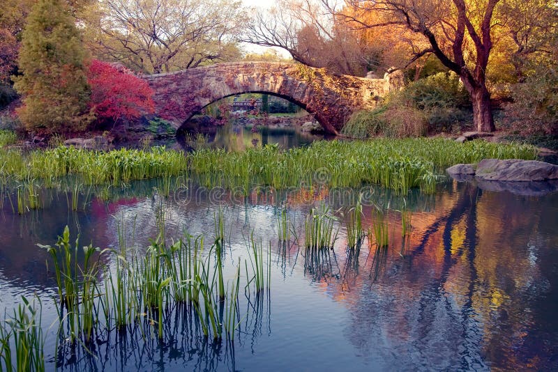 most centralny park stone ny obrazy stock most centralny park stone ny obrazy stock