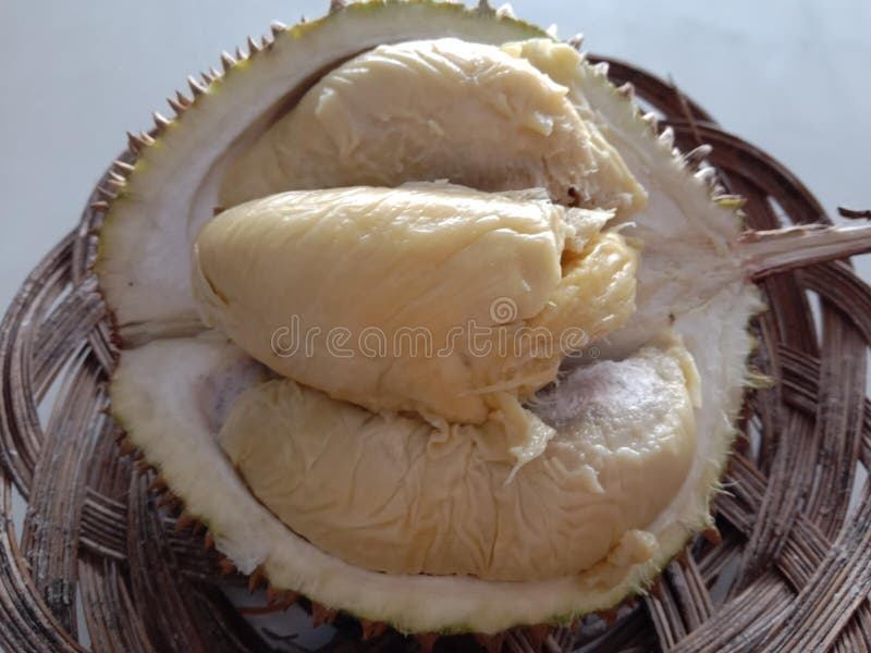 The Most Delicious King of Durian Fruit Stock Image Image of durian