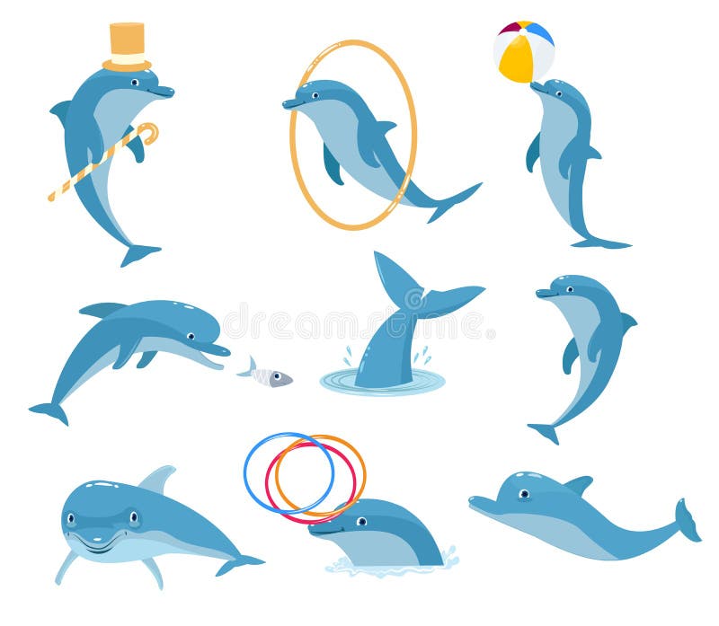 The Most Intelligent Animal is the Dolphin Stock Vector - Illustration of fish, face: 117634519 The Most Intelligent Animal is the Dolphin Stock Vector - Illustration of fish, face: 117634519