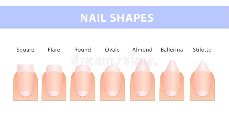 Nail Forms Stock Illustrations – 99 Nail Forms Stock Illustrations, Vectors  & Clipart - Dreamstime